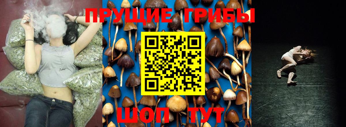 Галлюциногенные грибы Psilocybe  хочу наркоту  Псилоцибиновые грибы Psilocybine cubensis  Нефтекамск  Вход с VPN 